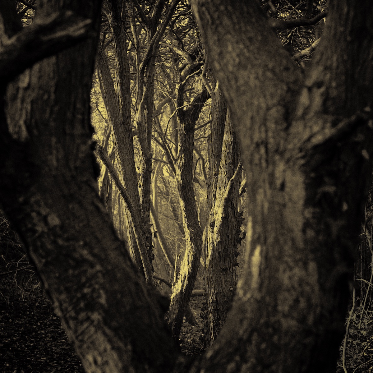 Stacks Image 314
